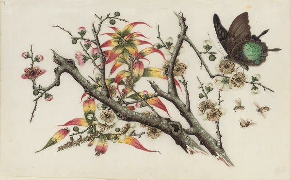 Two Chinese rice paper paintings