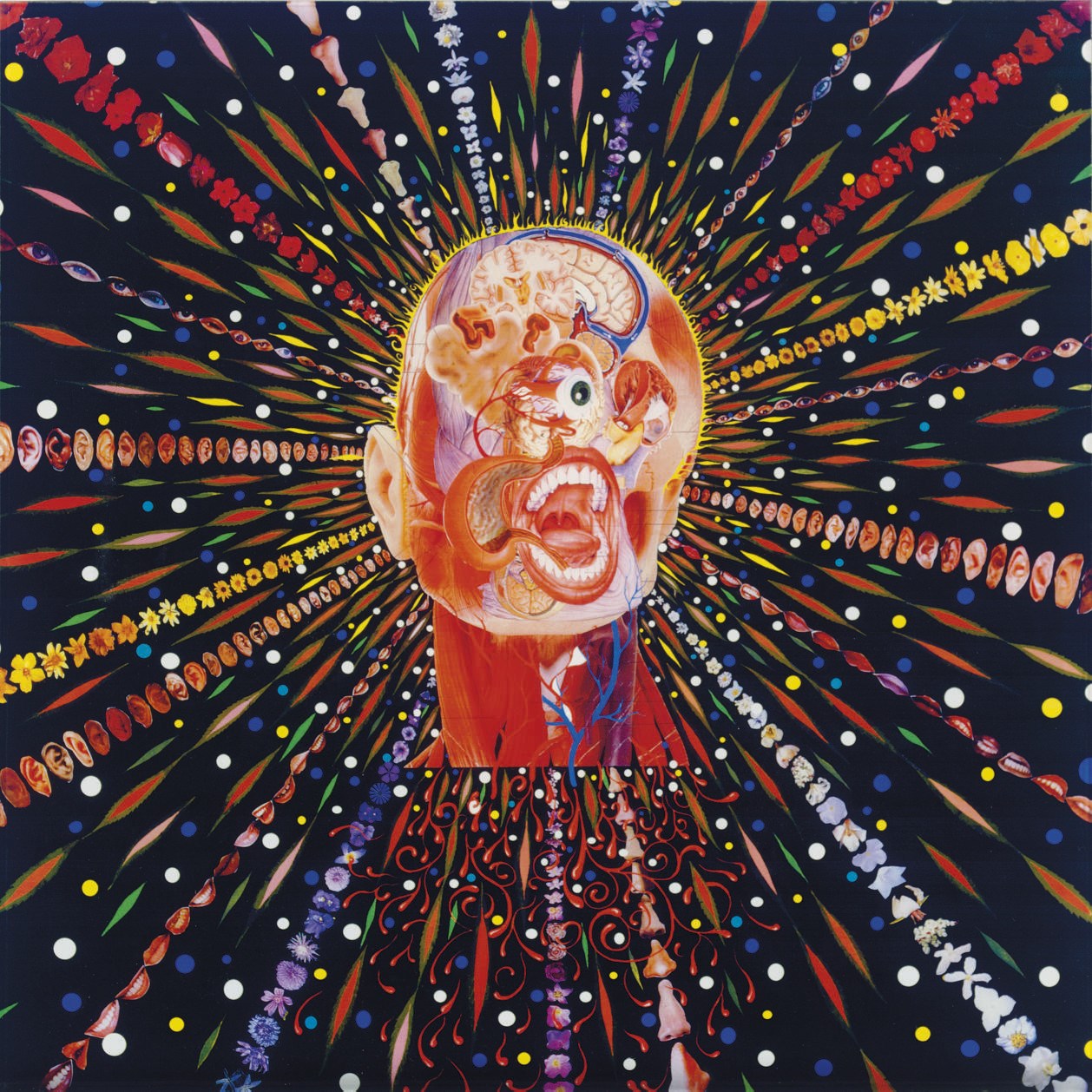Fred Tomaselli (b. 1956)