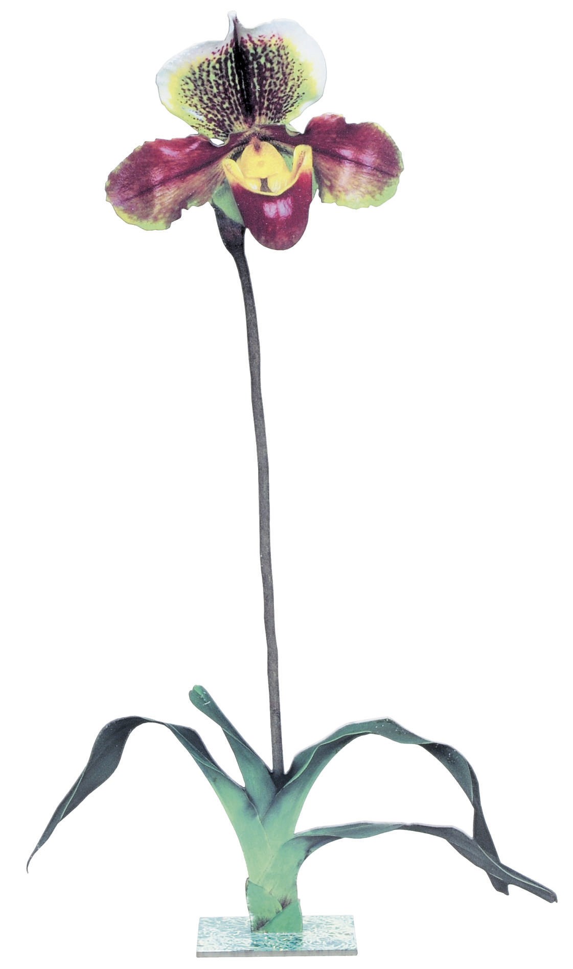 Marc Quinn (b. 1964)