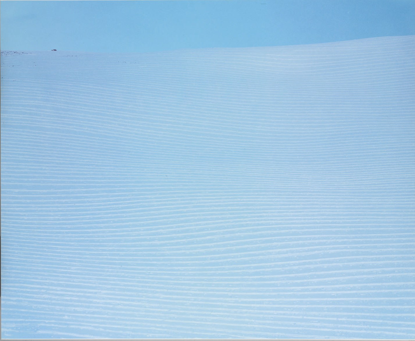 Thomas Flechtner (B. 1961)
