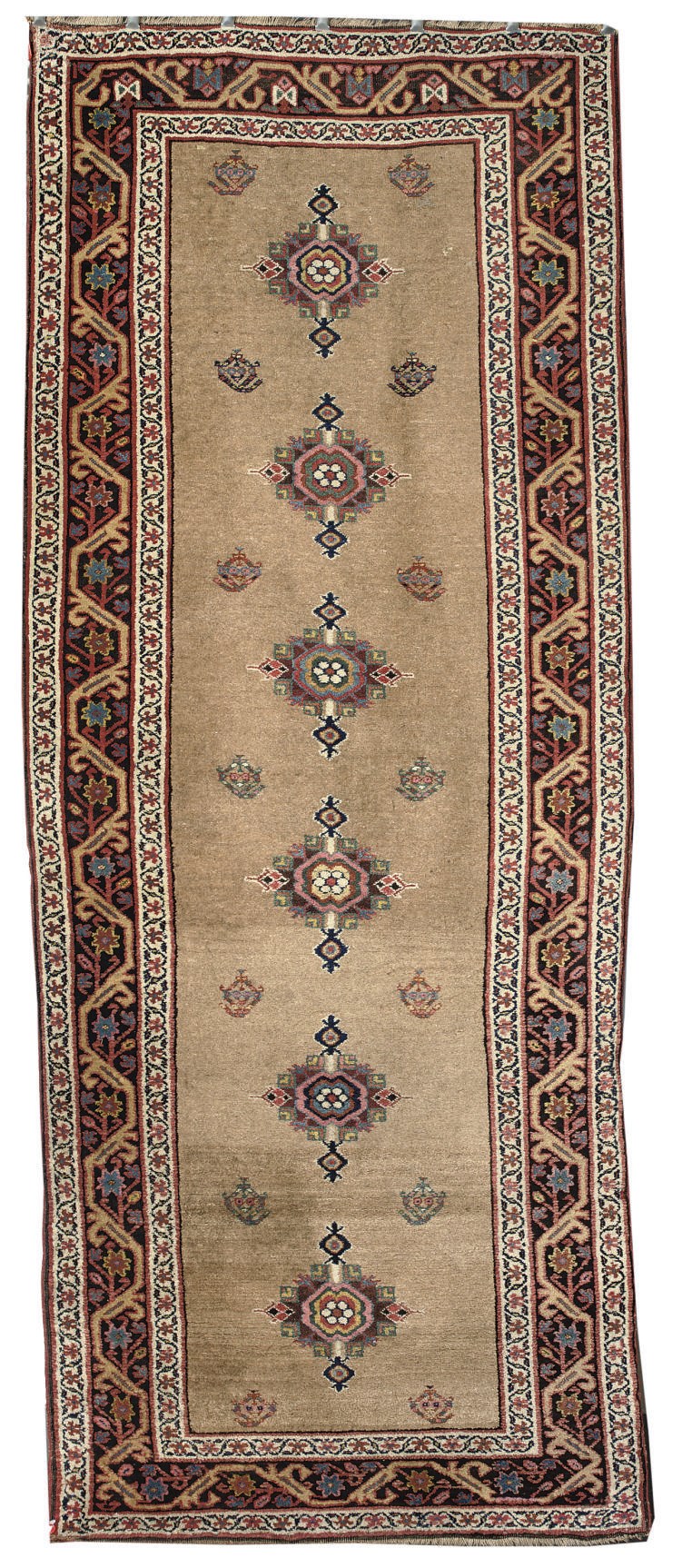 A BIDJAR RUNNER