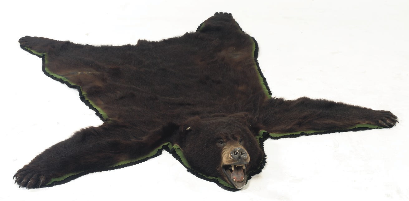 A STUFFED AND MOUNTED BLACK BEAR SKIN