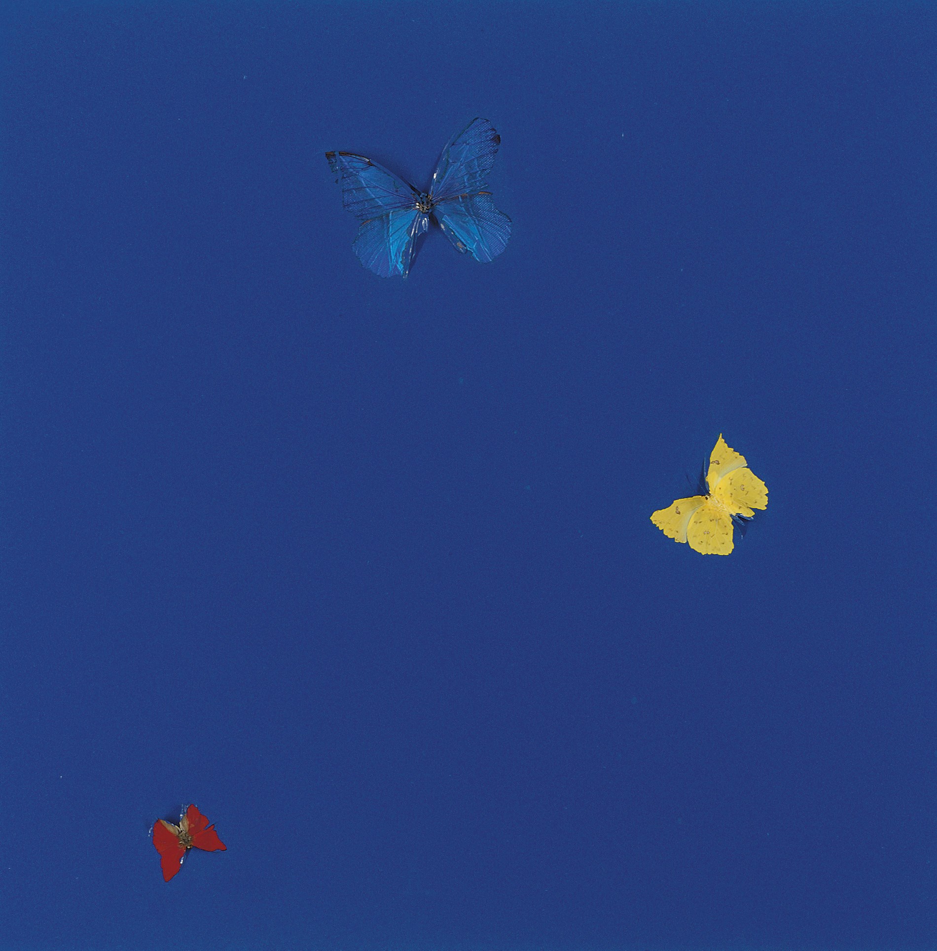 Damien Hirst (b. 1965)