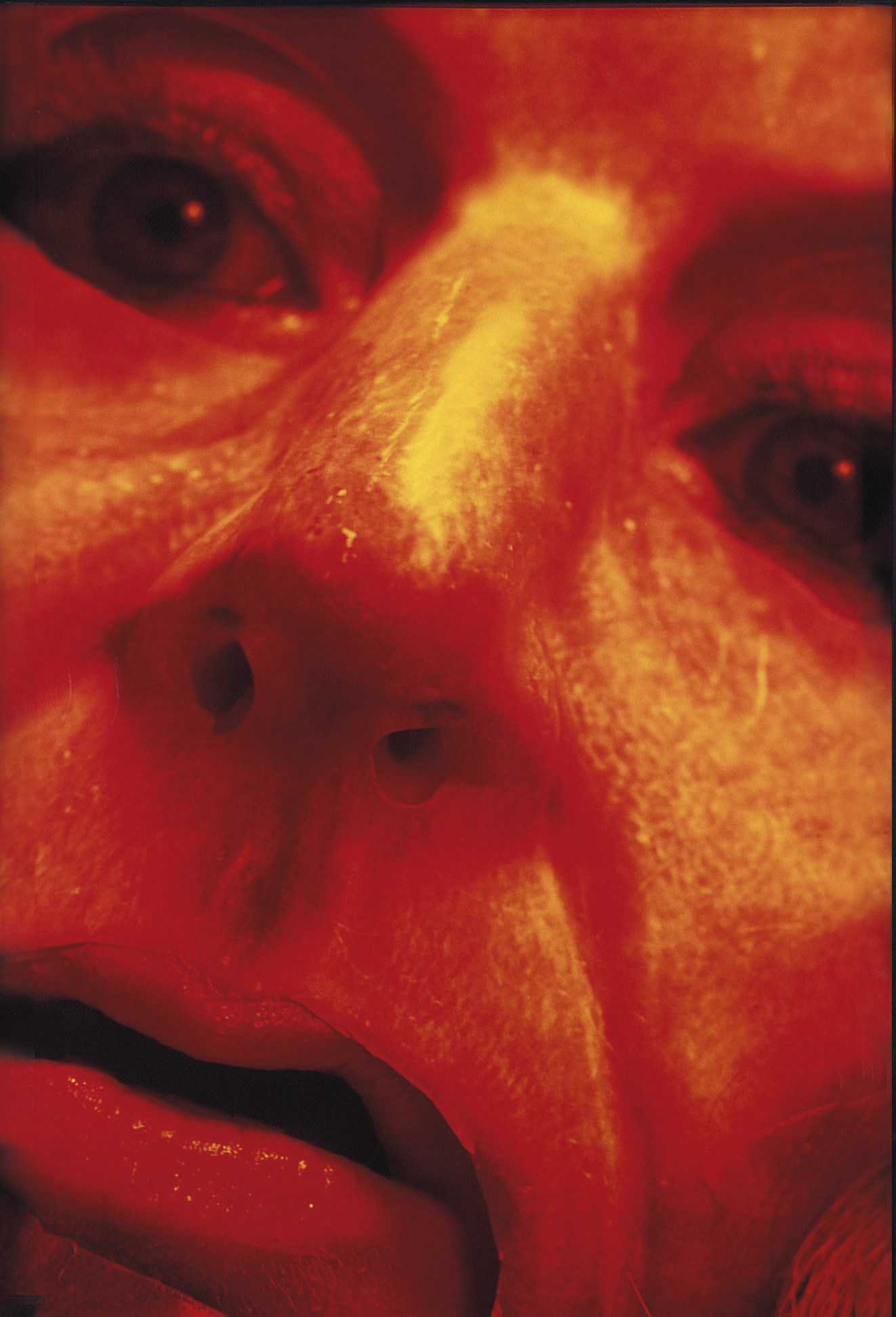 Cindy Sherman (b. 1954)