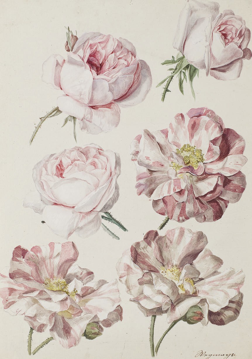 Sebastien Wegmayr (Vienna 1776-1857)