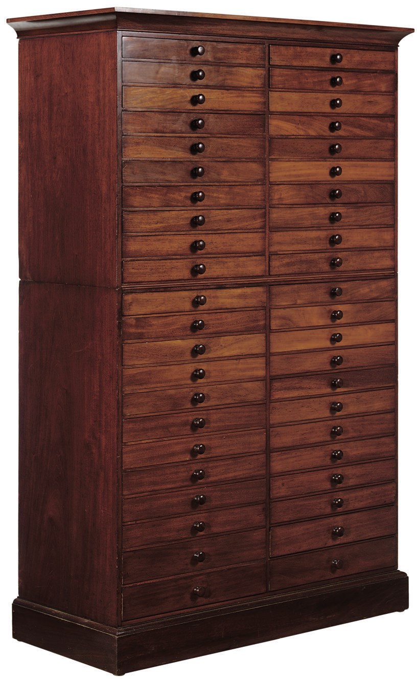 A MAHOGANY COLLECTOR'S CABINET