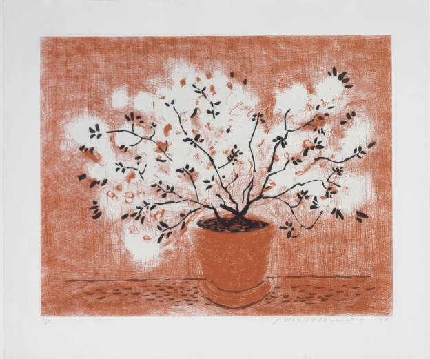 DAVID HOCKNEY
