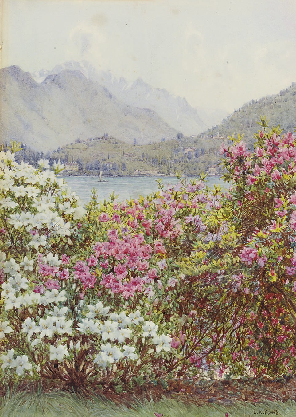 Ernest Arthur Rowe (1860-1922)