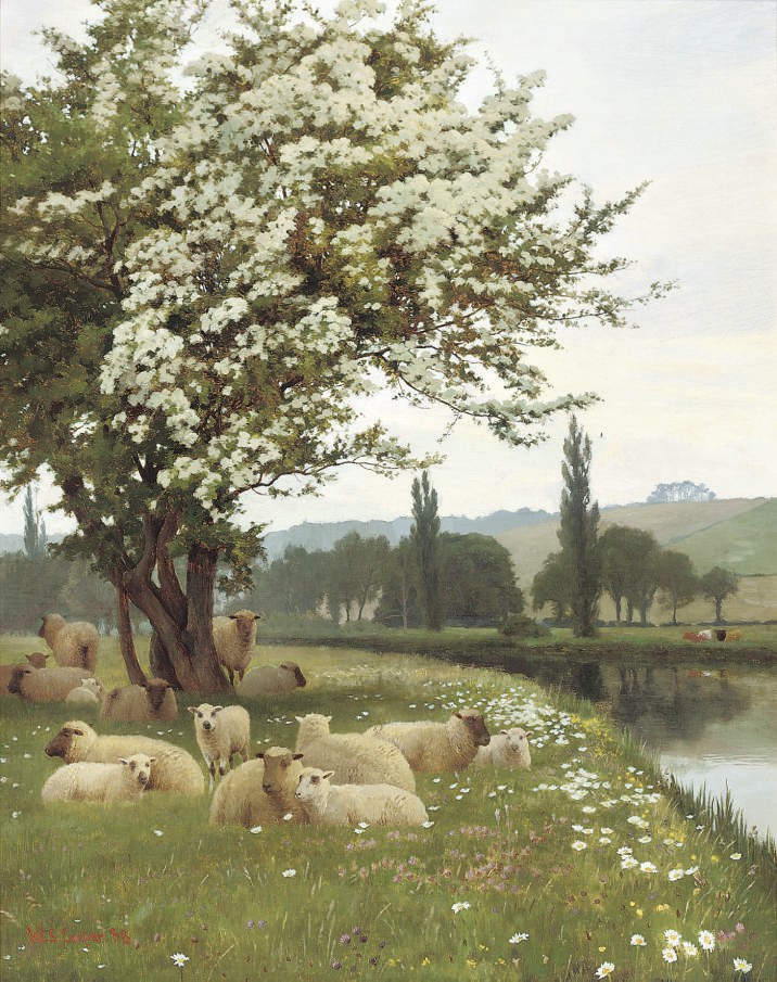 William Sidney Cooper (1854-1927)