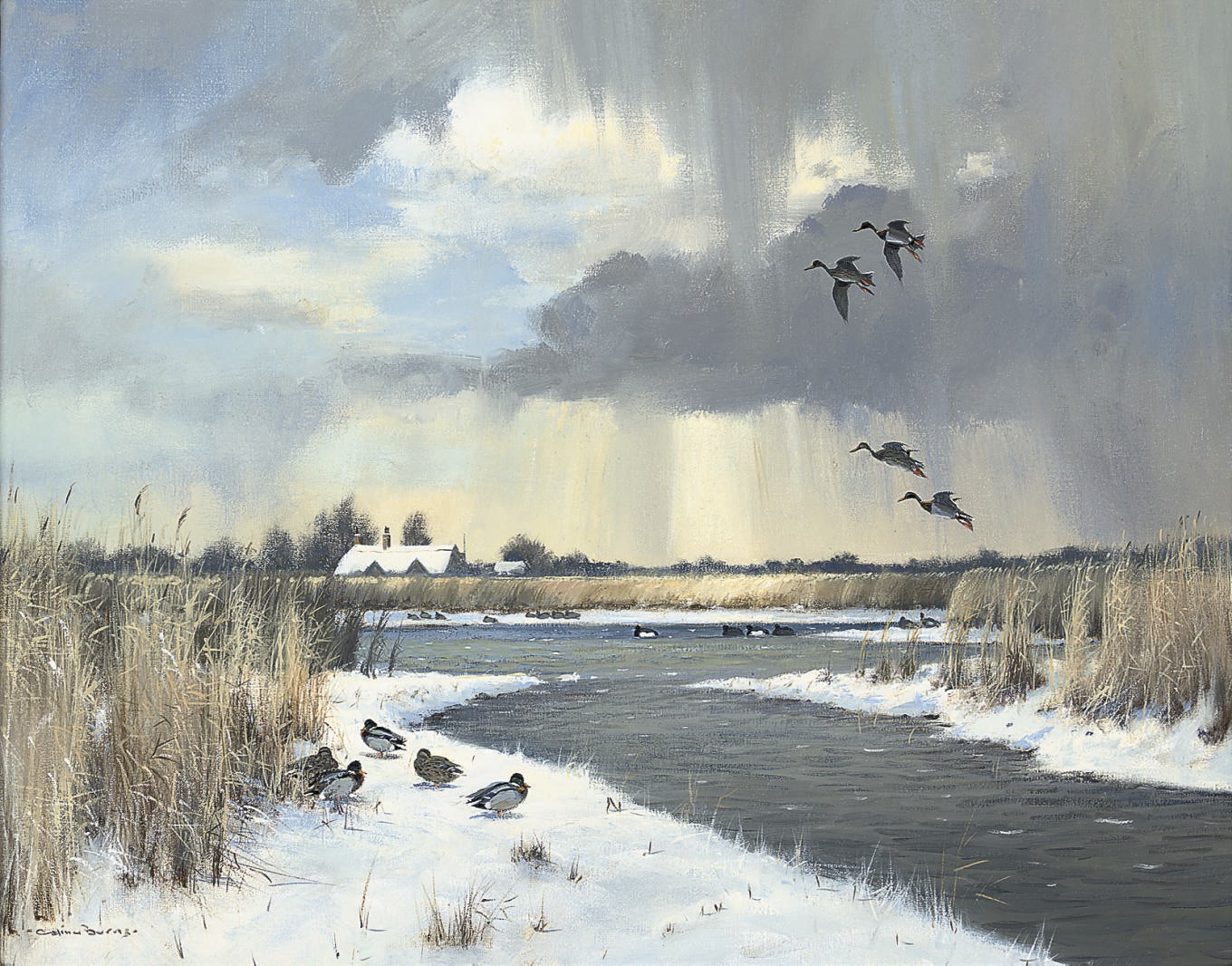 Colin W. Burns (b. 1944)