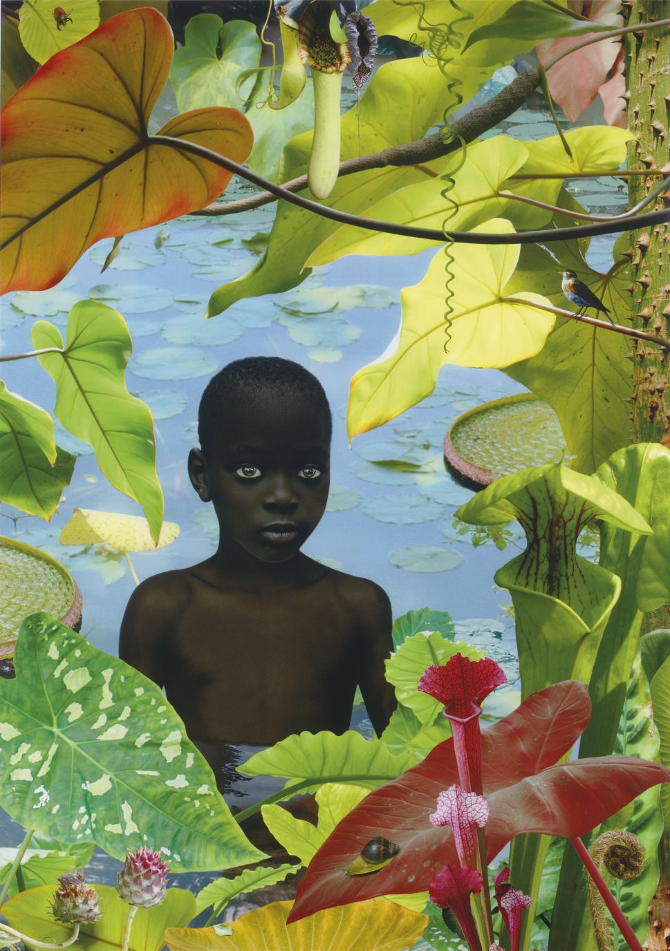 Ruud van Empel (b. 1958)