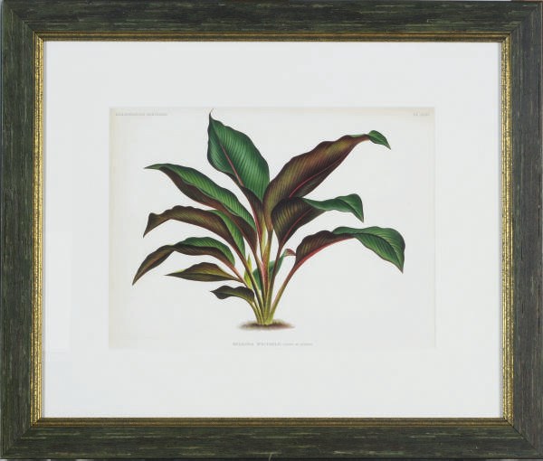 After P. de Pannemaeker (Active late 19th century)