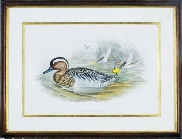 J. Gould (Active 19th Century)