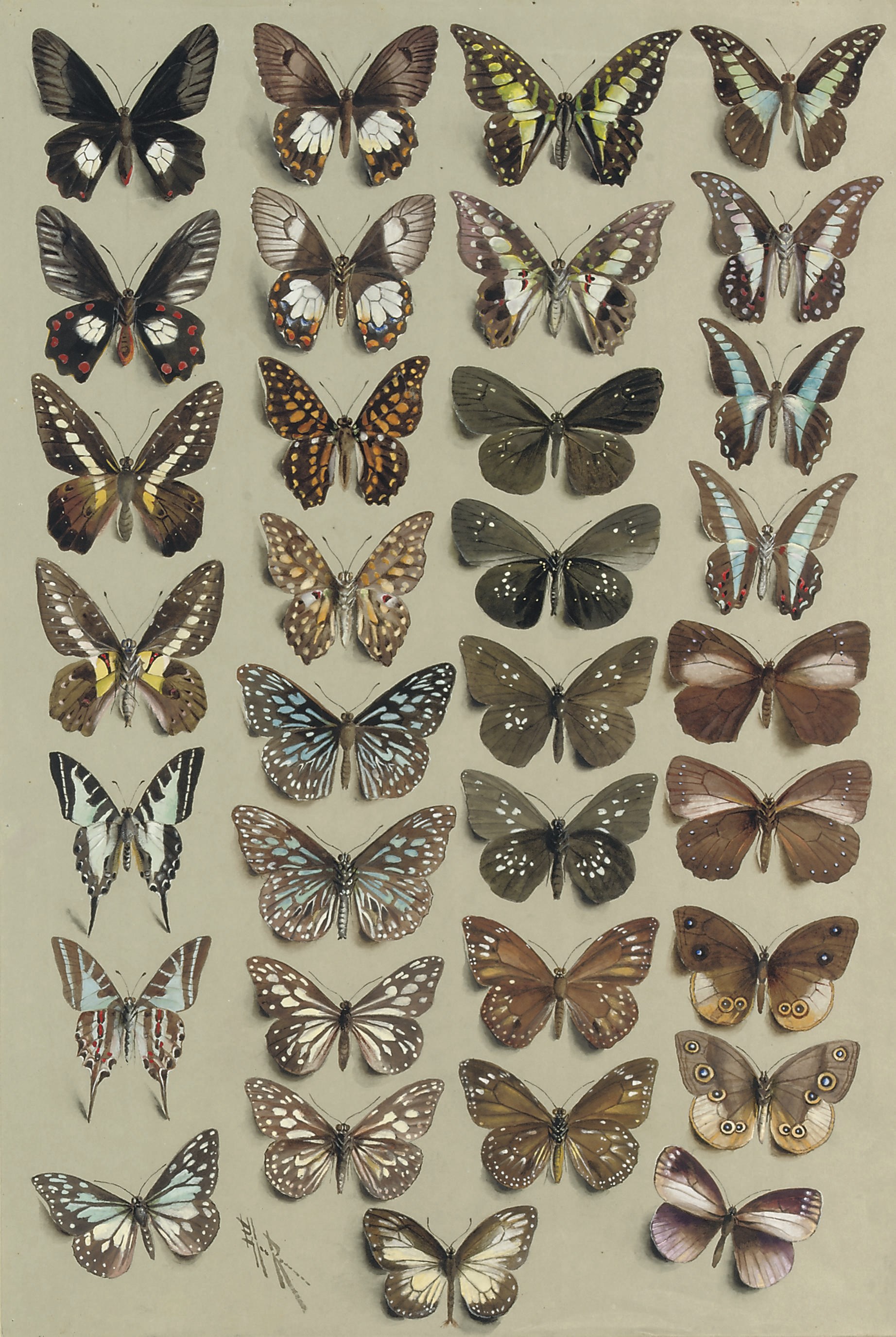 Marian Ellis Rowan (1848-1922)