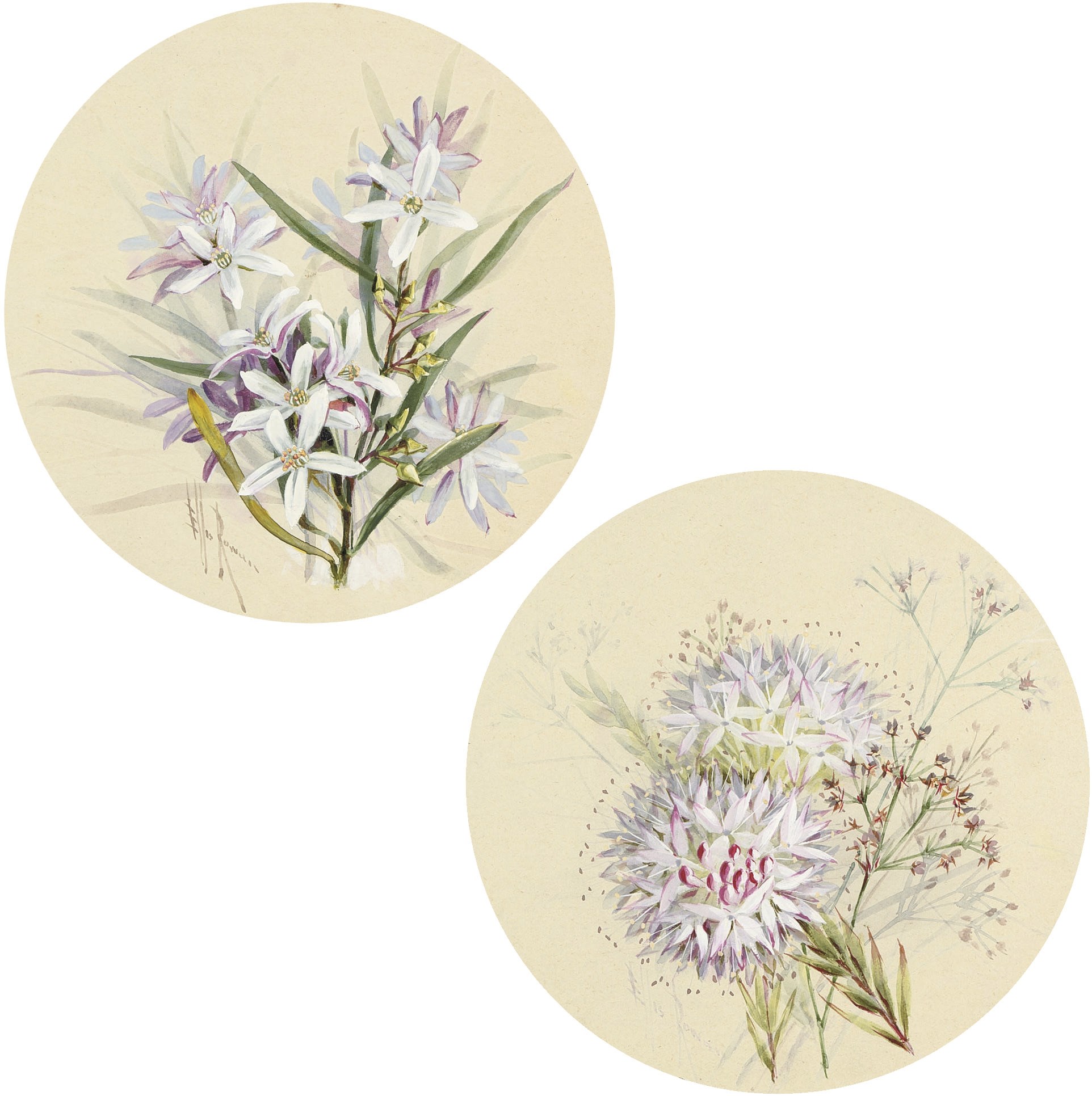 Marian Ellis Rowan (1848-1922)