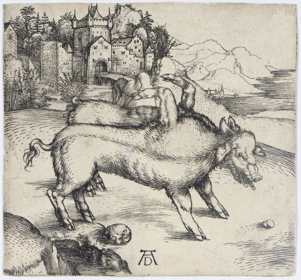 Albrecht Dürer