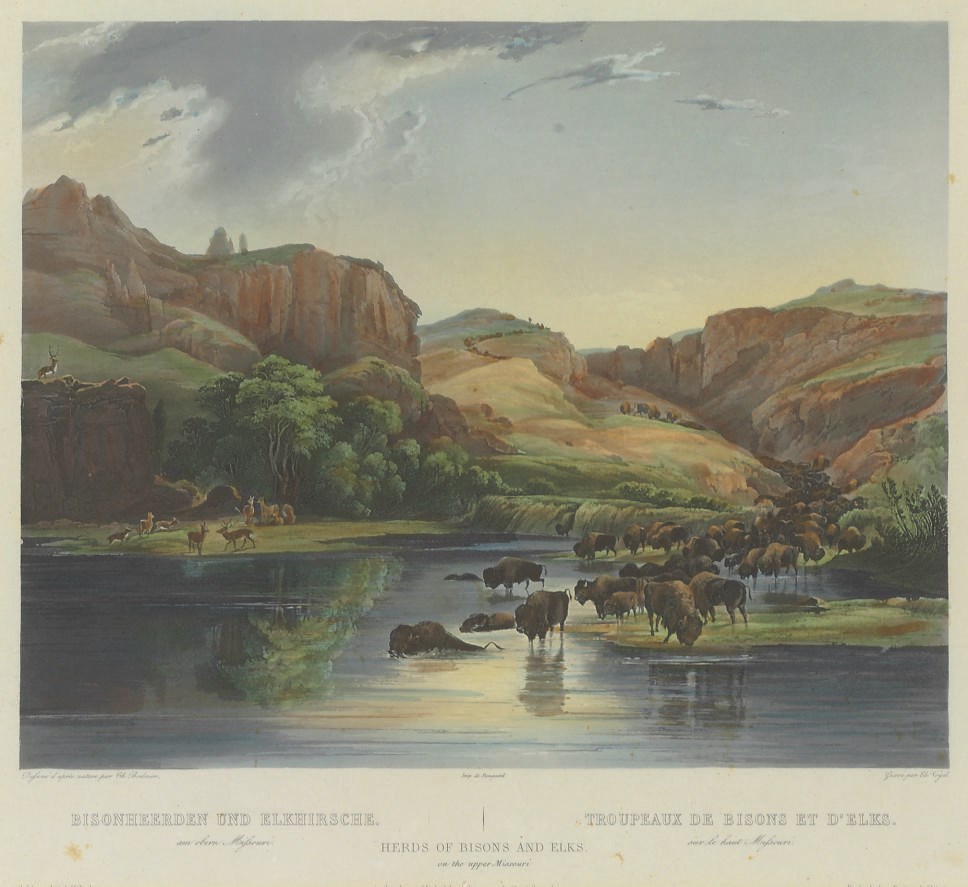 AFTER KARL BODMER
BY CHARLES VOGEL