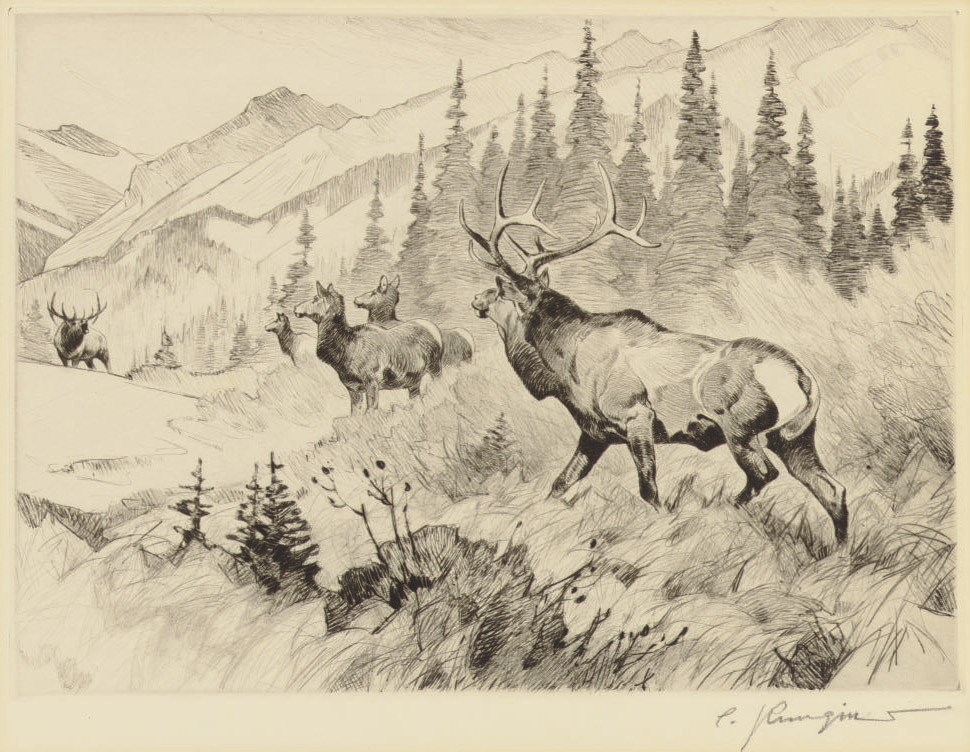 CARL RUNGIUS