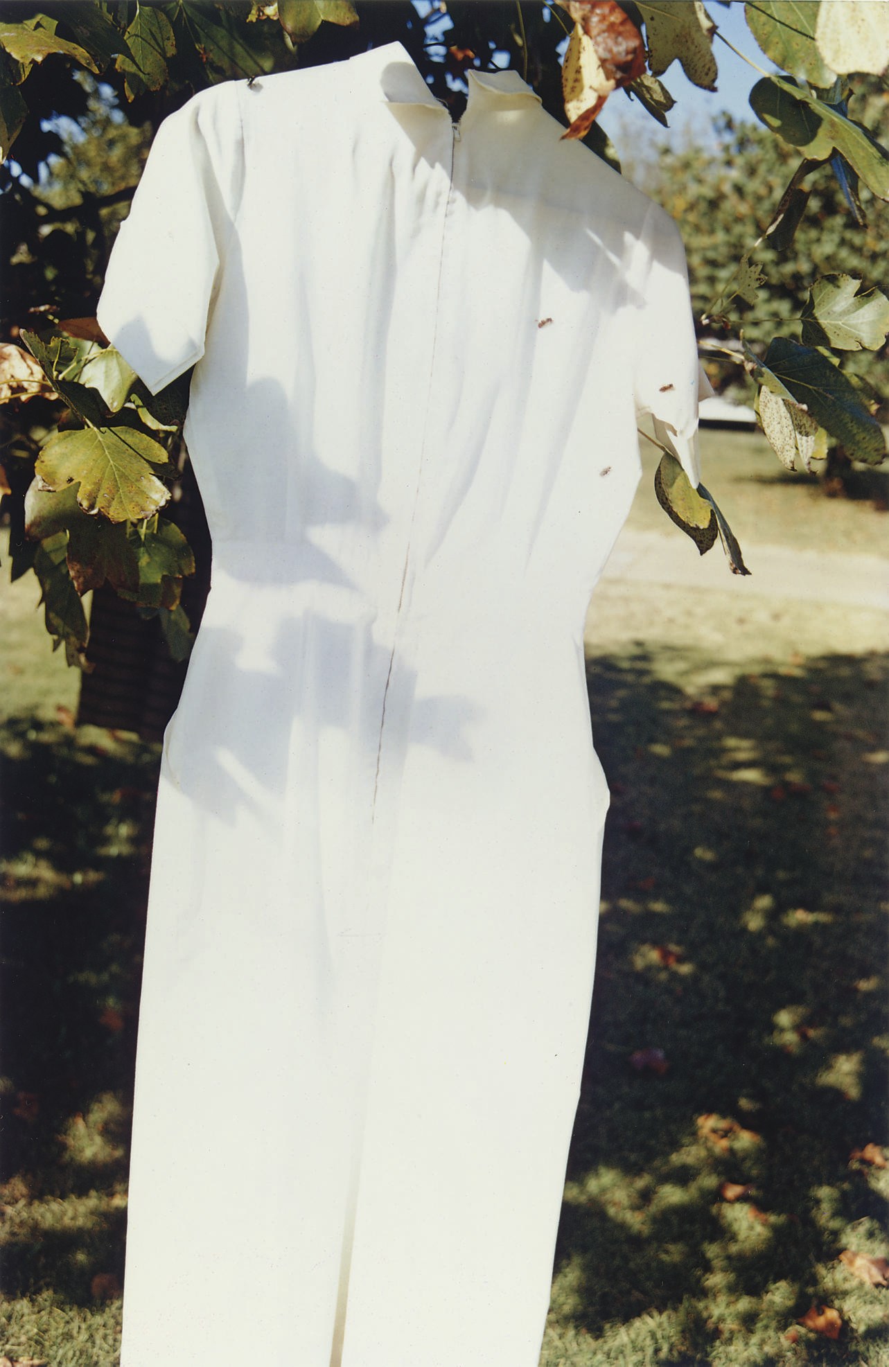 WILLIAM EGGLESTON (B. 1939)