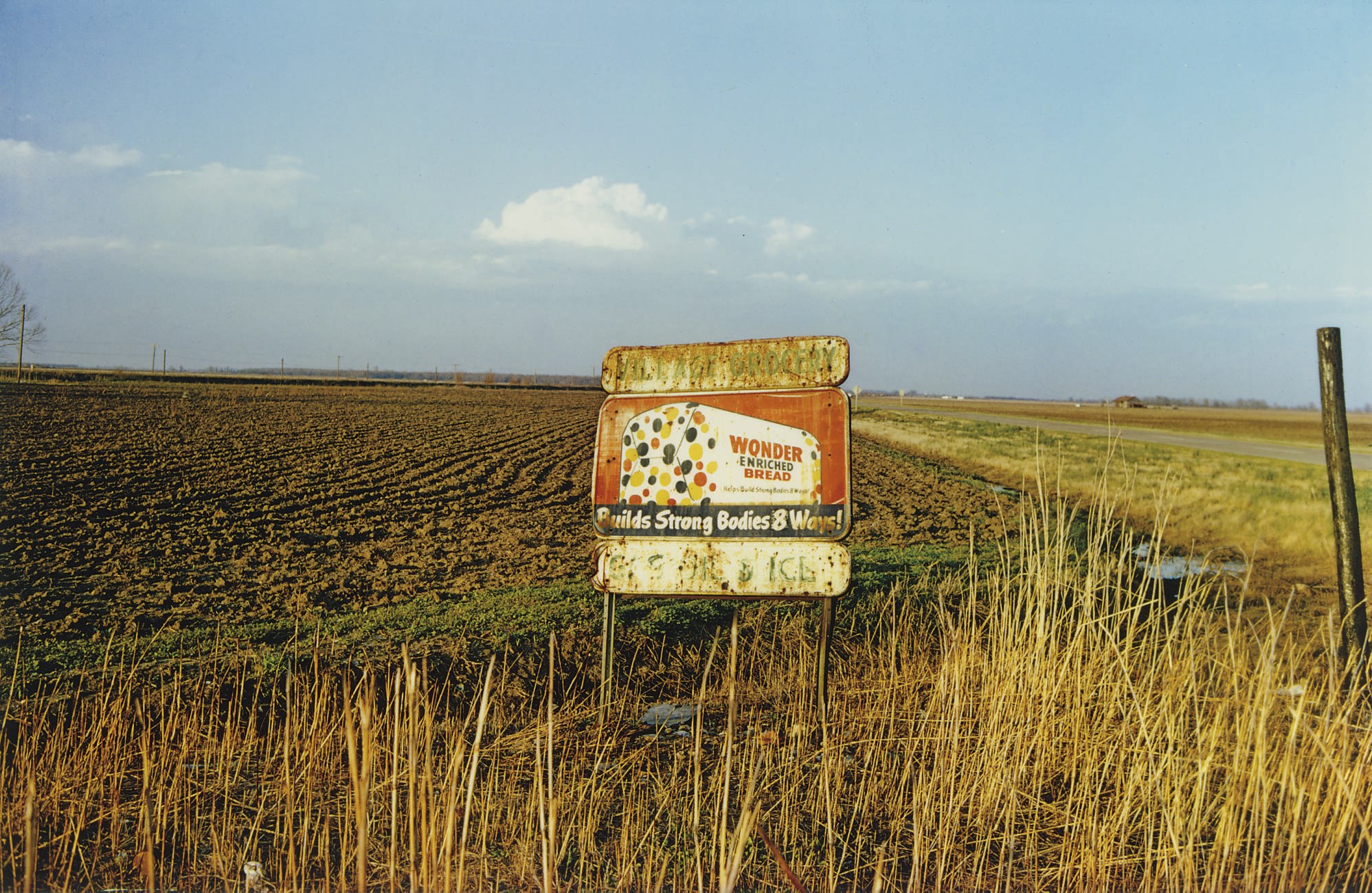 WILLIAM EGGLESTON (B. 1939)