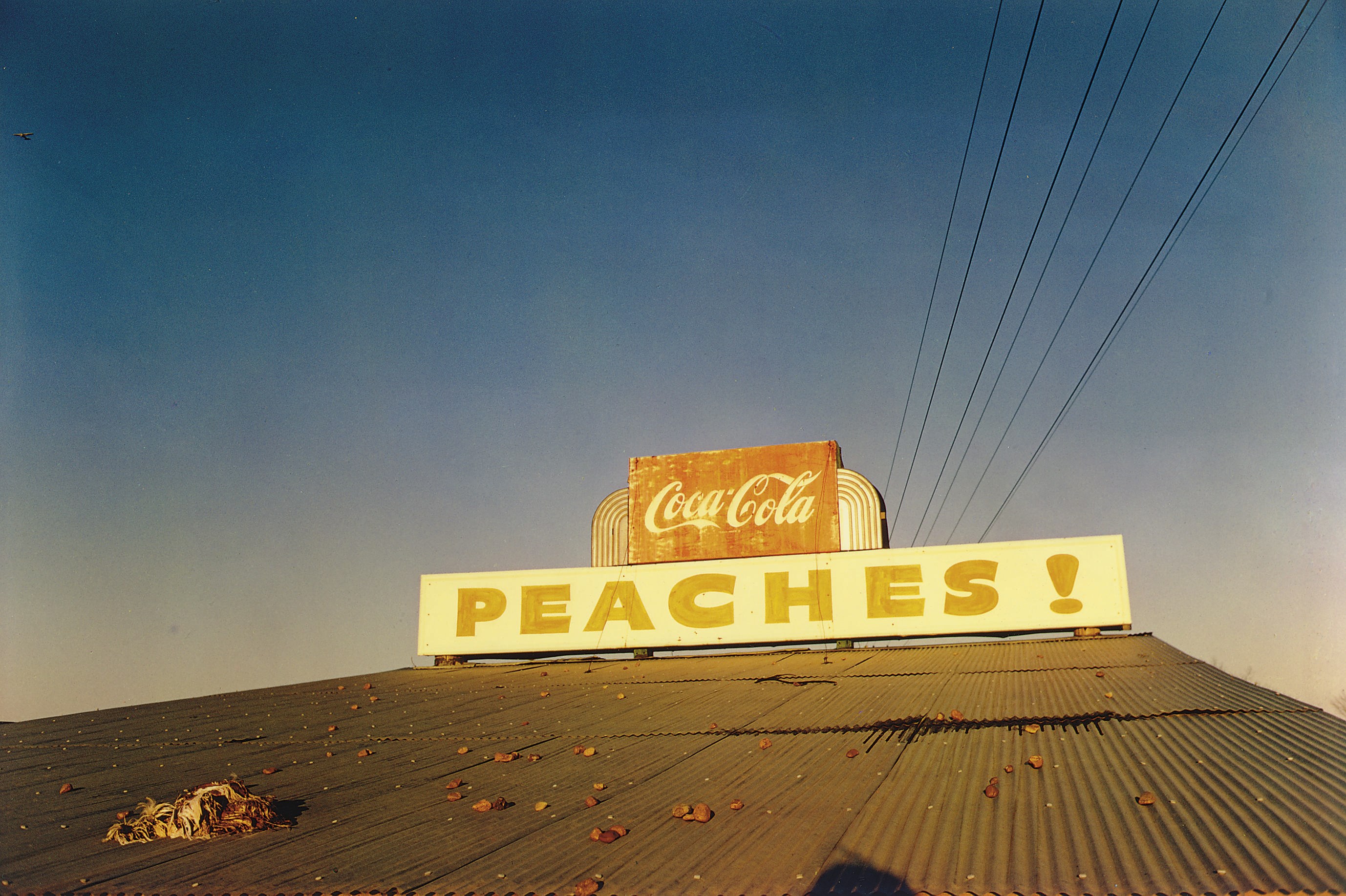 WILLIAM EGGLESTON (B. 1939)