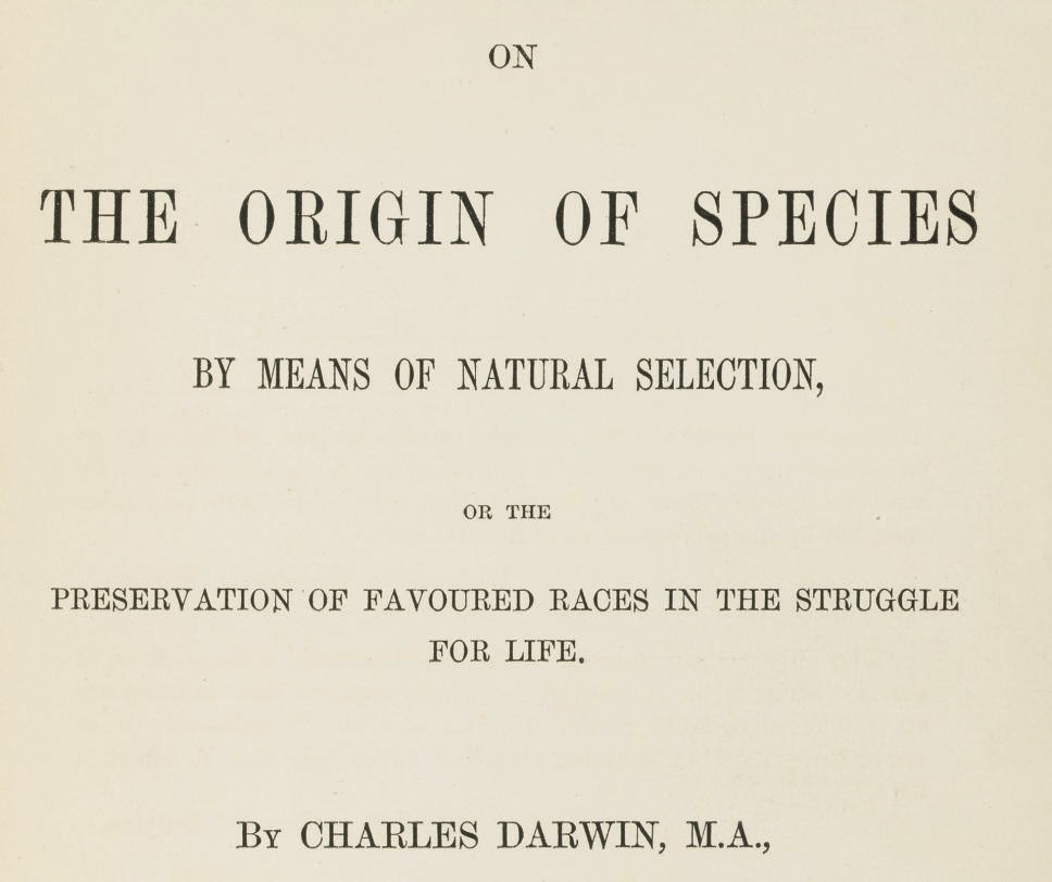 DARWIN, Charles (1809-1882). On the Origin of the Species by Means of Natural Selection ... Fifth Thousand. London: John Murray, 1860. Large 12°. Folding lithographed plate, 32pp. of publisher's advertisements at end (advertisements a little foxed). Original green cloth, gilt spine, uncut (short tears in head and foot of spine and in upper joint).