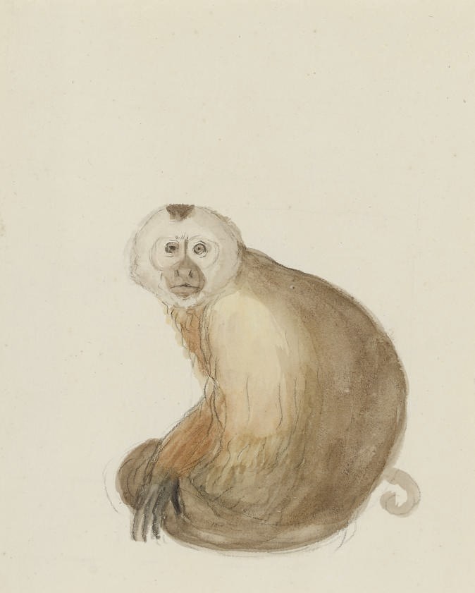 Jean-Baptiste Audebert (1759-1800)
