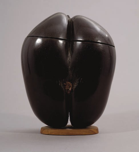 COCO-FESSE