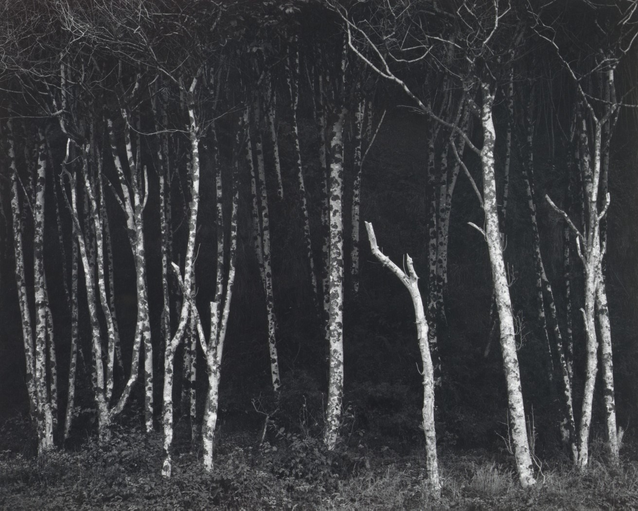 ANSEL ADAMS (1902-1984)