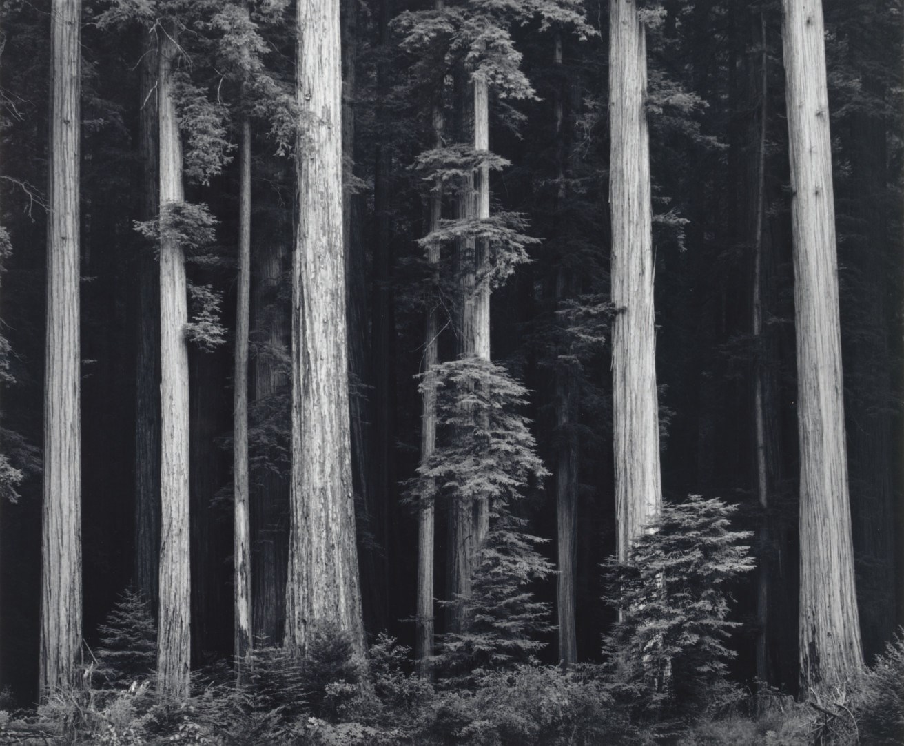 ANSEL ADAMS (1902-1984)