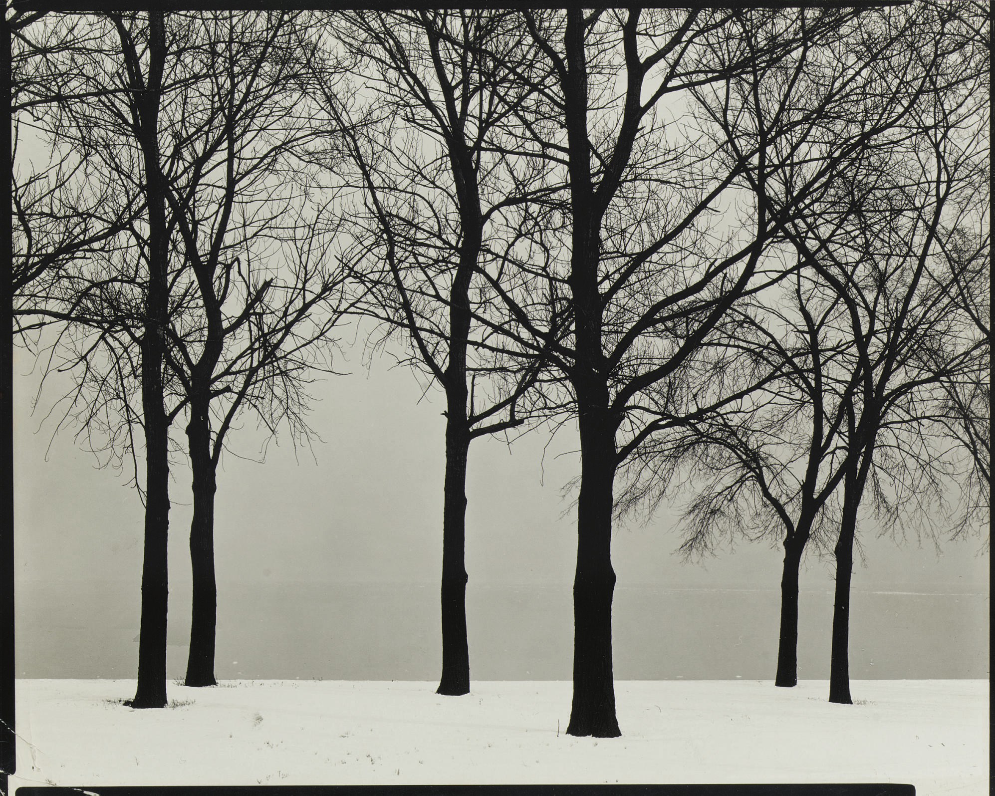 HARRY CALLAHAN (1912-1999)