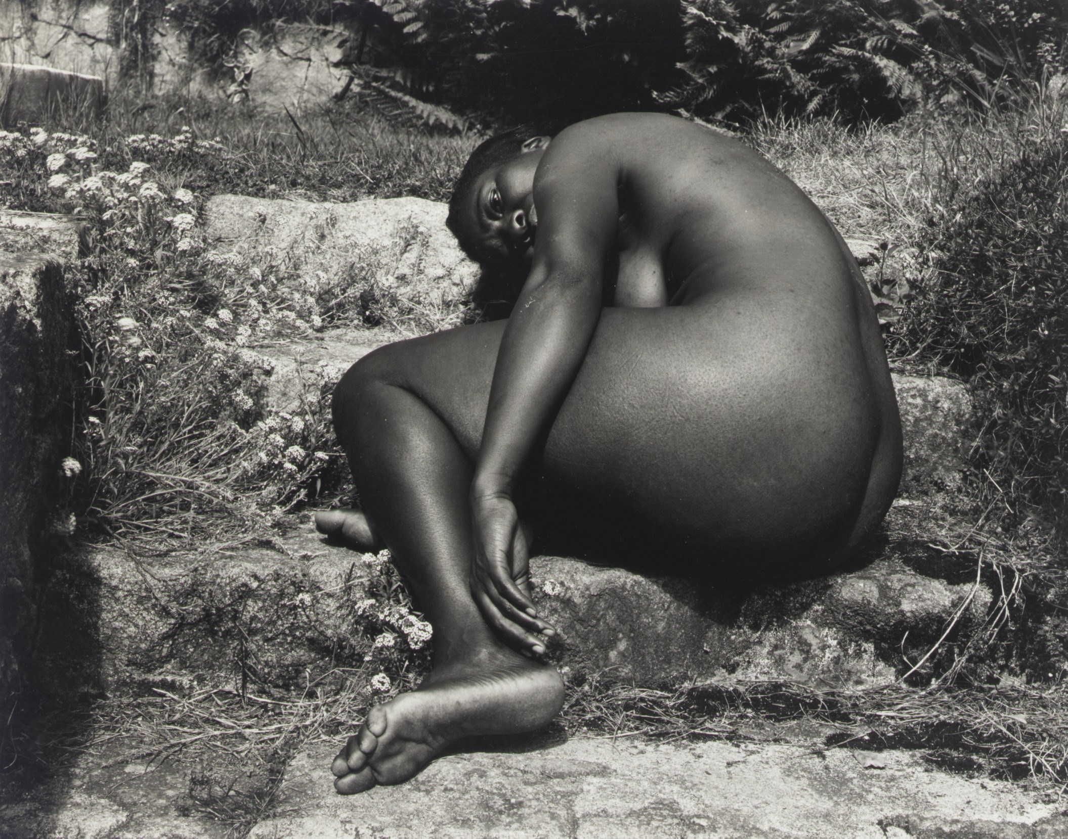 EDWARD WESTON (1886-1958)