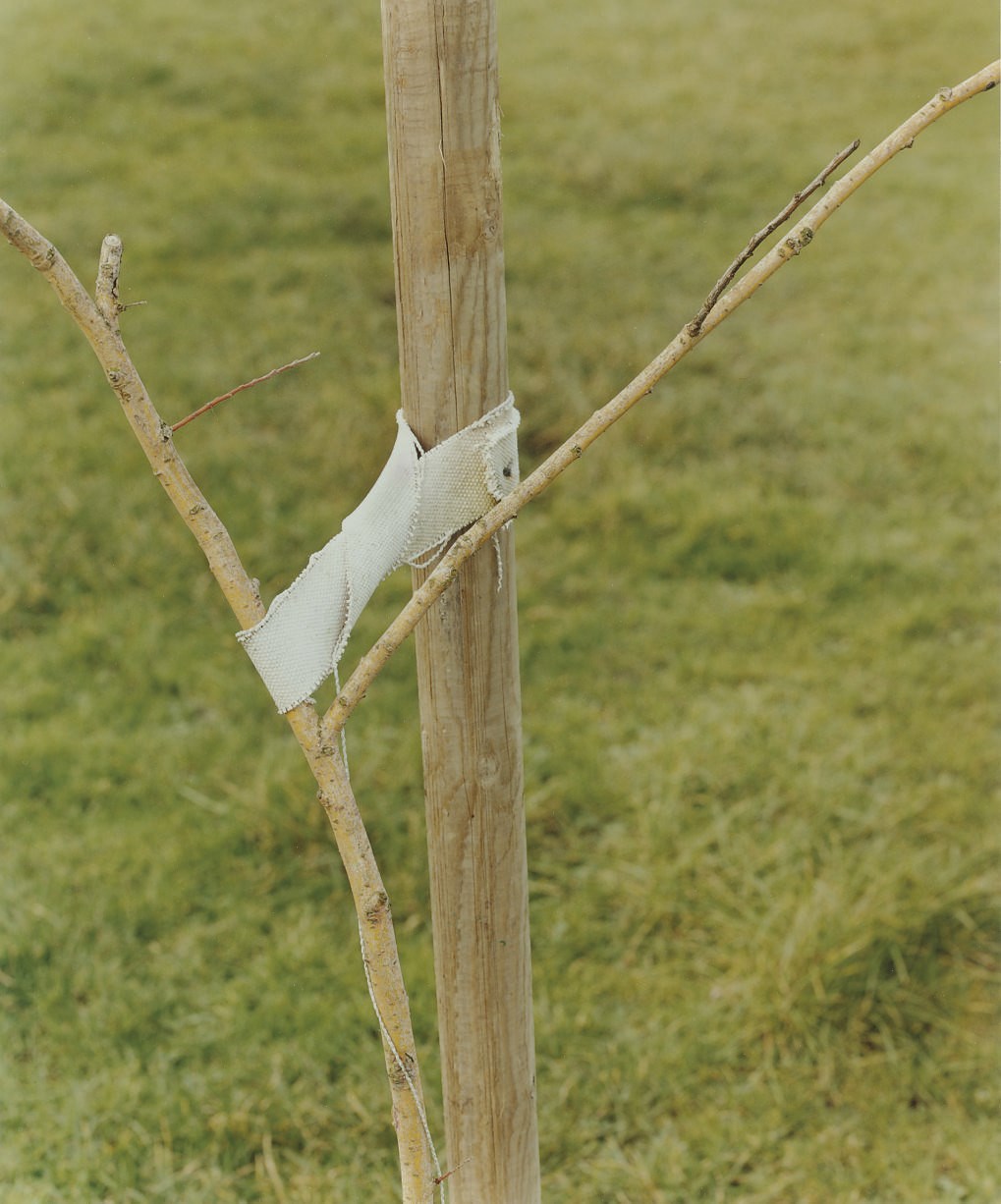 JEFF WALL (B. 1946)