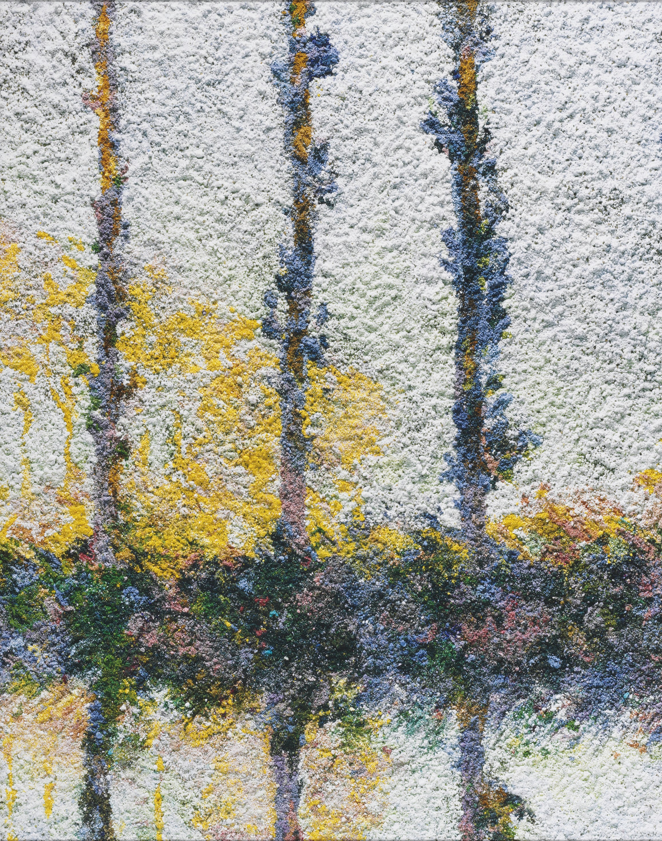 VIK MUNIZ (B. 1961)