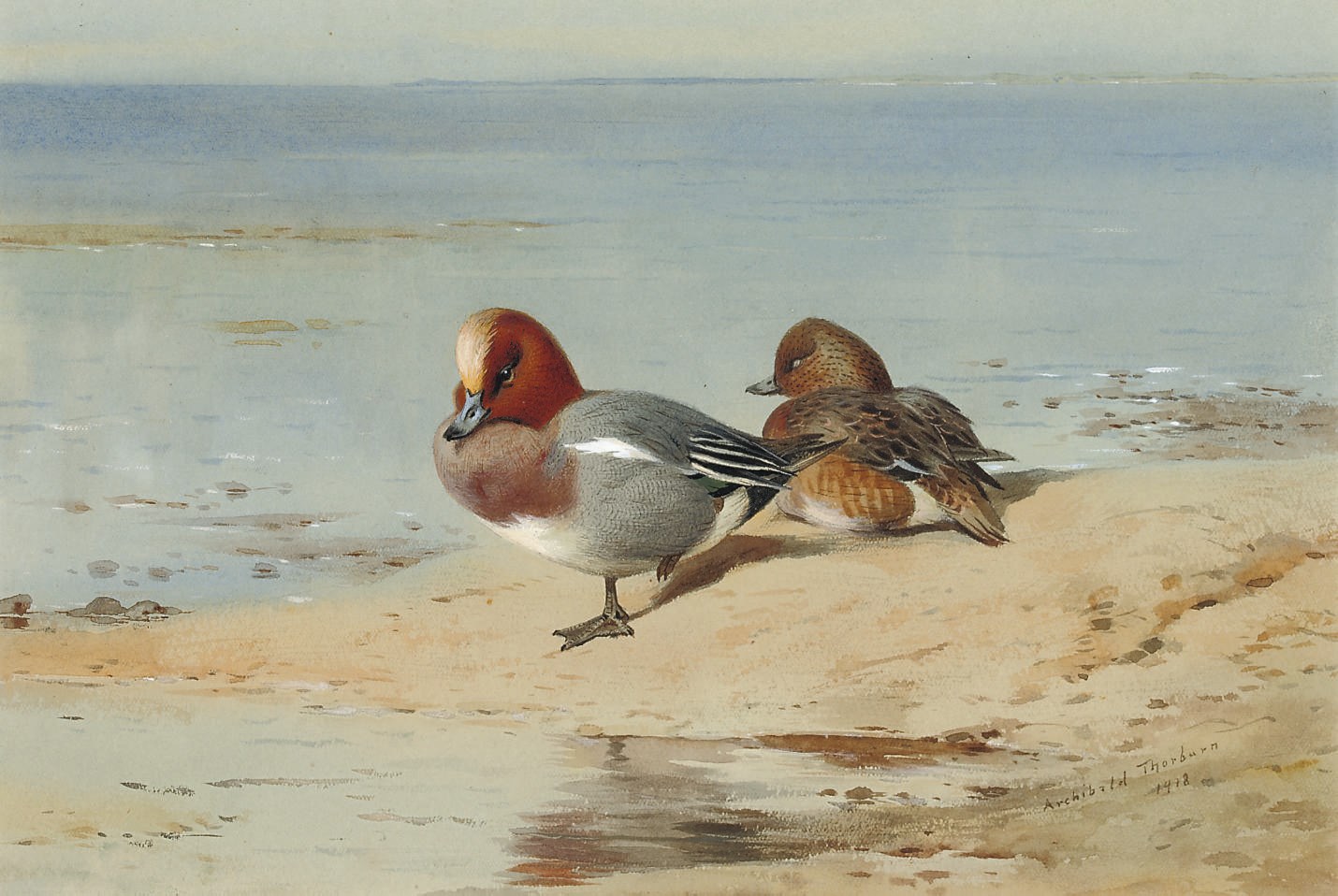 Archibald Thorburn (1860-1935)