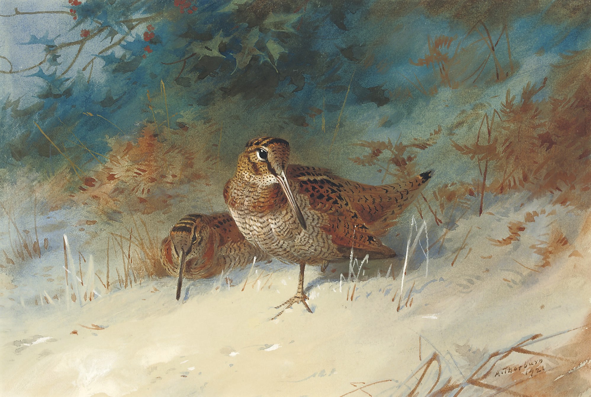 Archibald Thorburn (1860-1935)