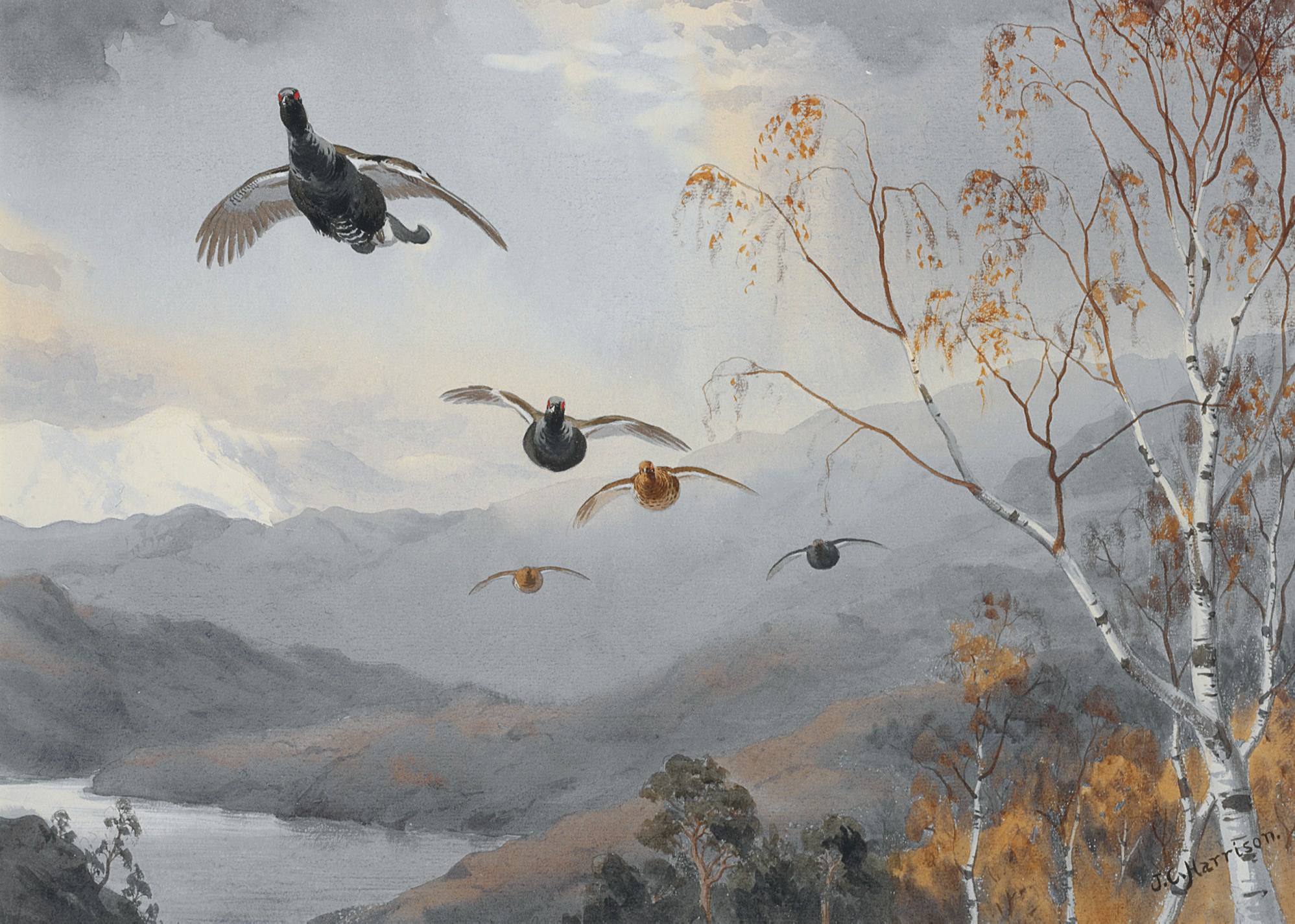 John Cyril Harrison (1898-1985)