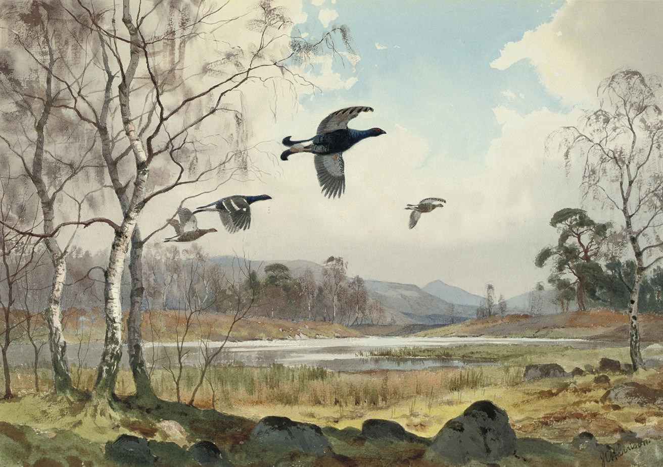 John Cyril Harrison (1898-1985)