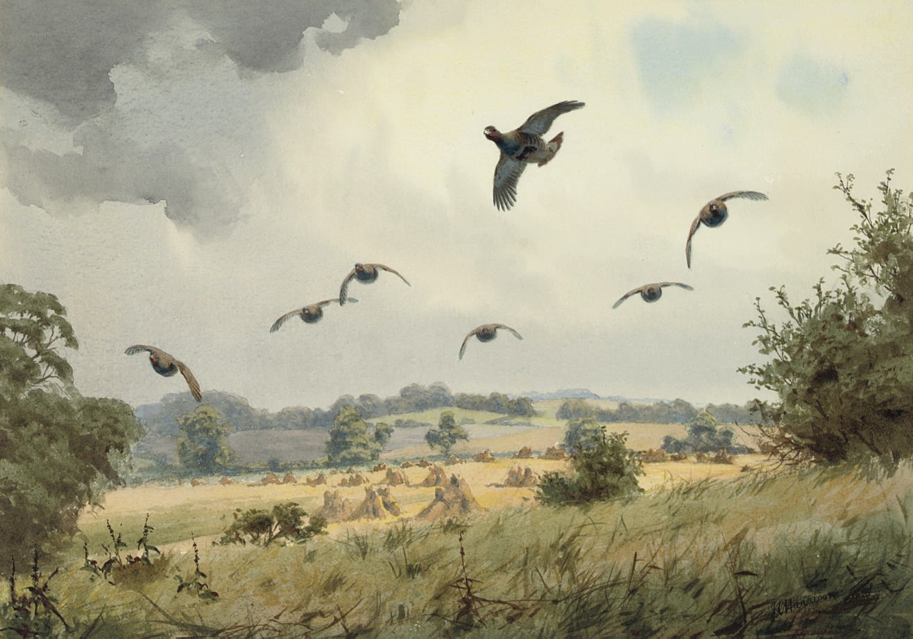 John Cyril Harrison (1898-1985)