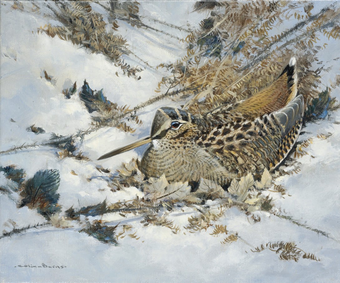 Colin W. Burns (b. 1944)