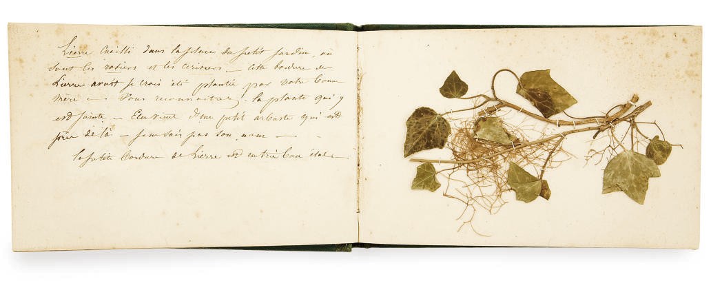 HERBIER ADRESSE A MARIE-AMELIE, REINE DES FRANCAIS, (1782-1866)