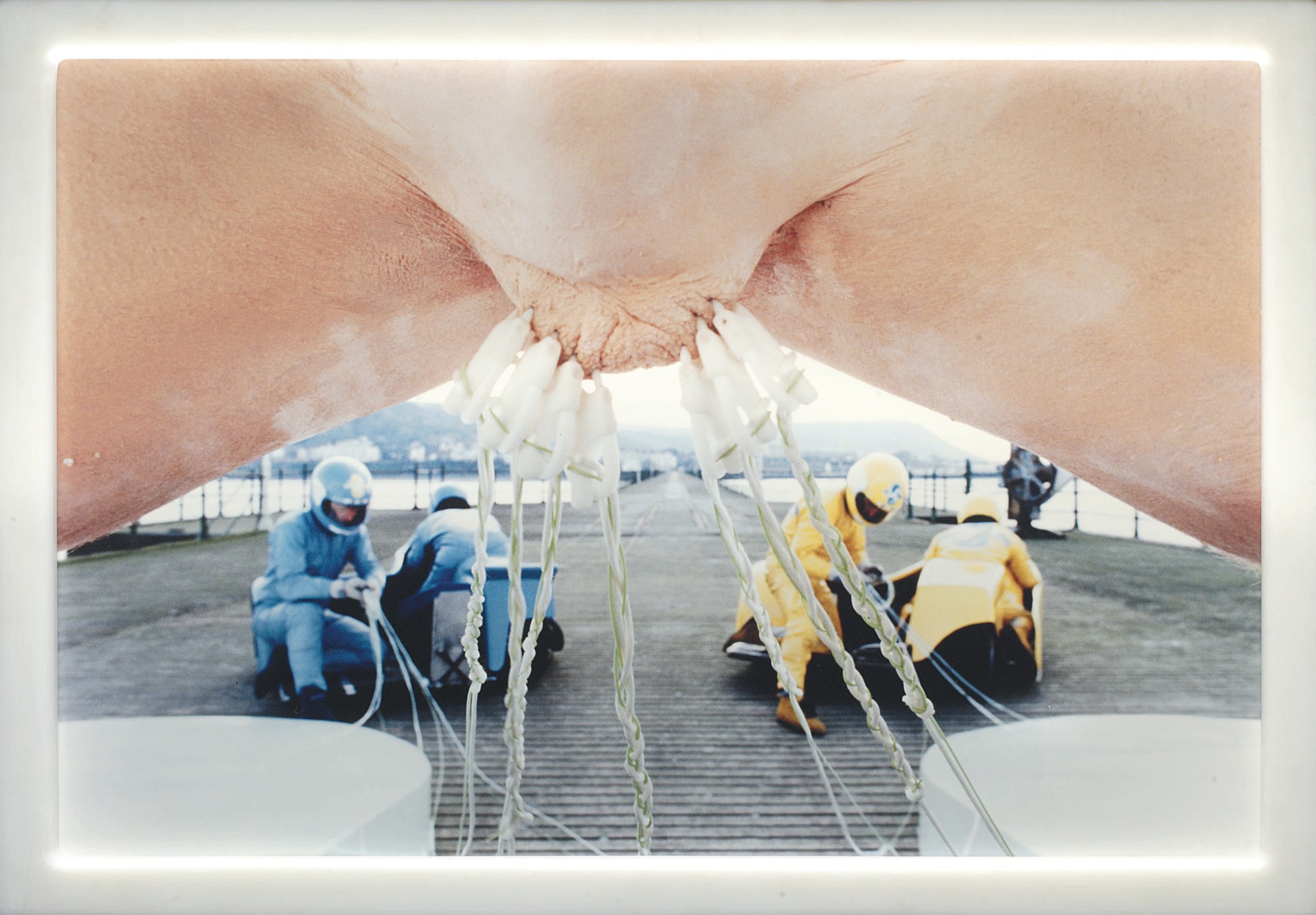 Matthew Barney (b. 1967)