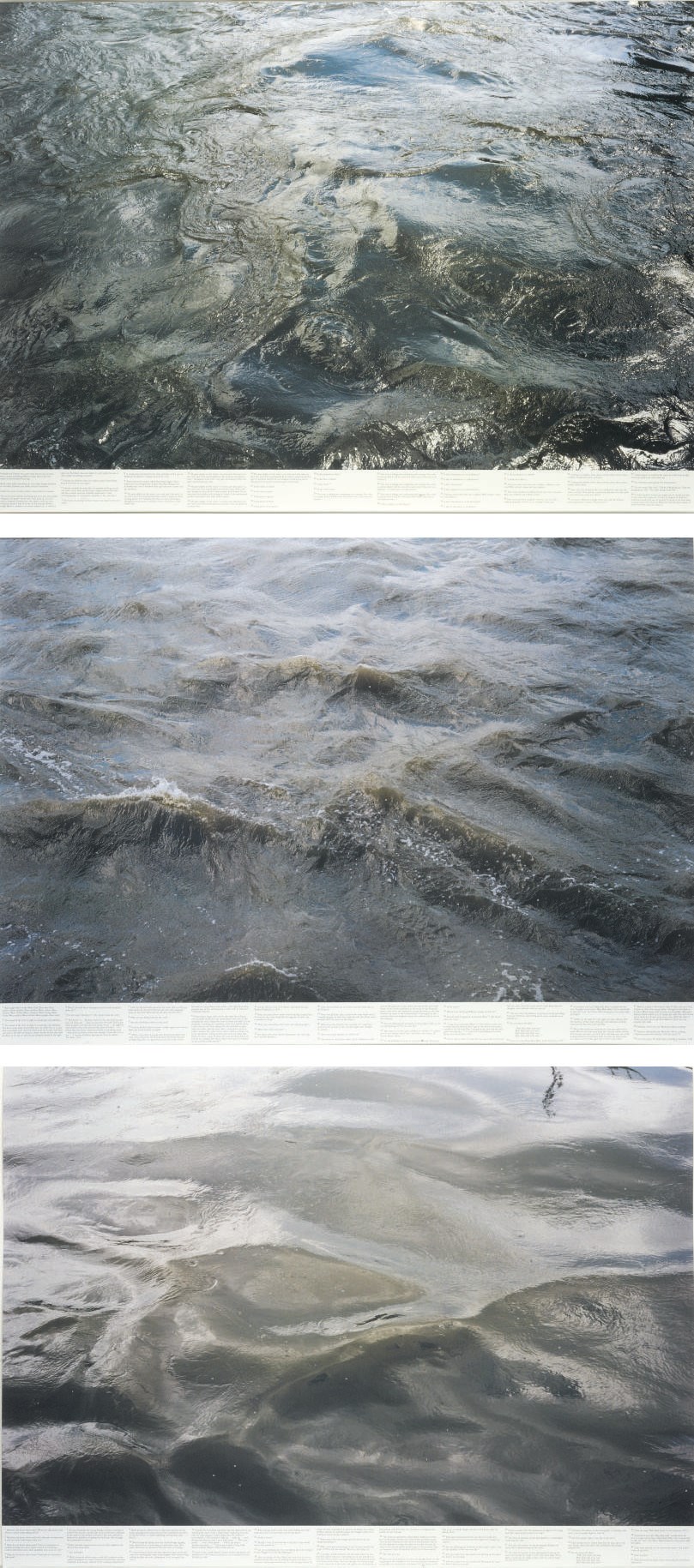 Roni Horn (b. 1955)