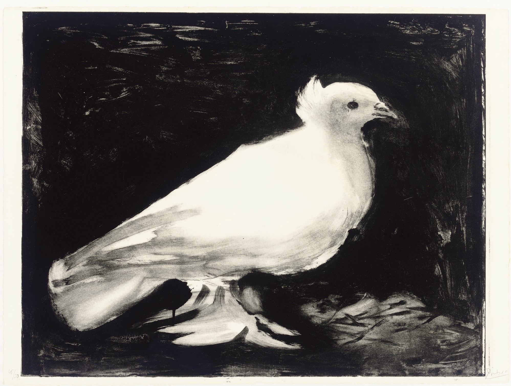 PABLO PICASSO