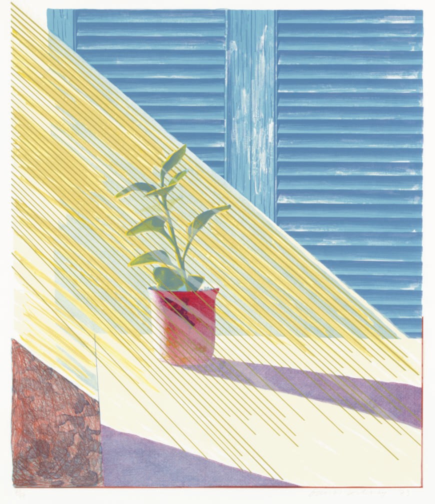 DAVID HOCKNEY