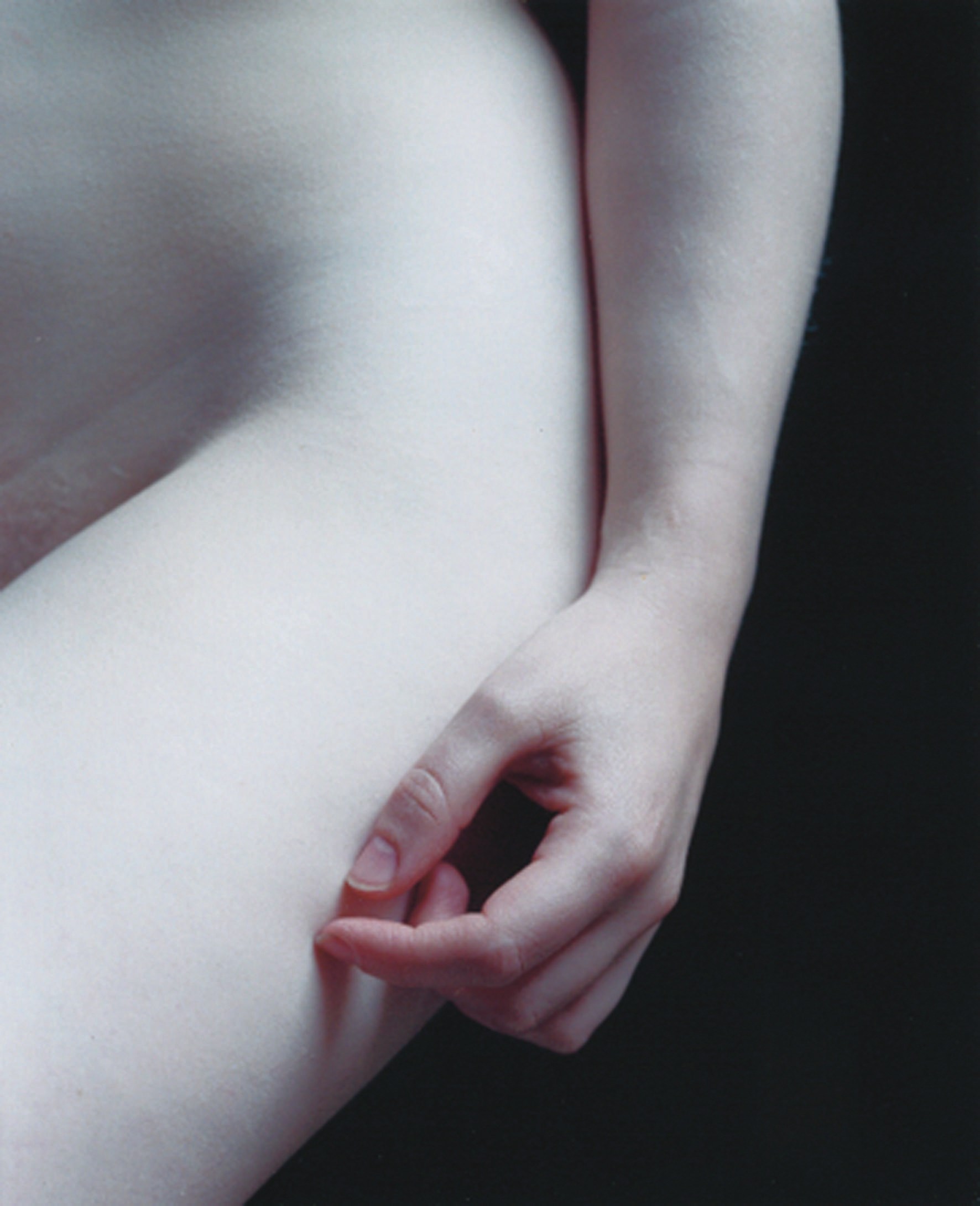 CARLA VAN DE PUTTELAAR (b.1967 Dutch)