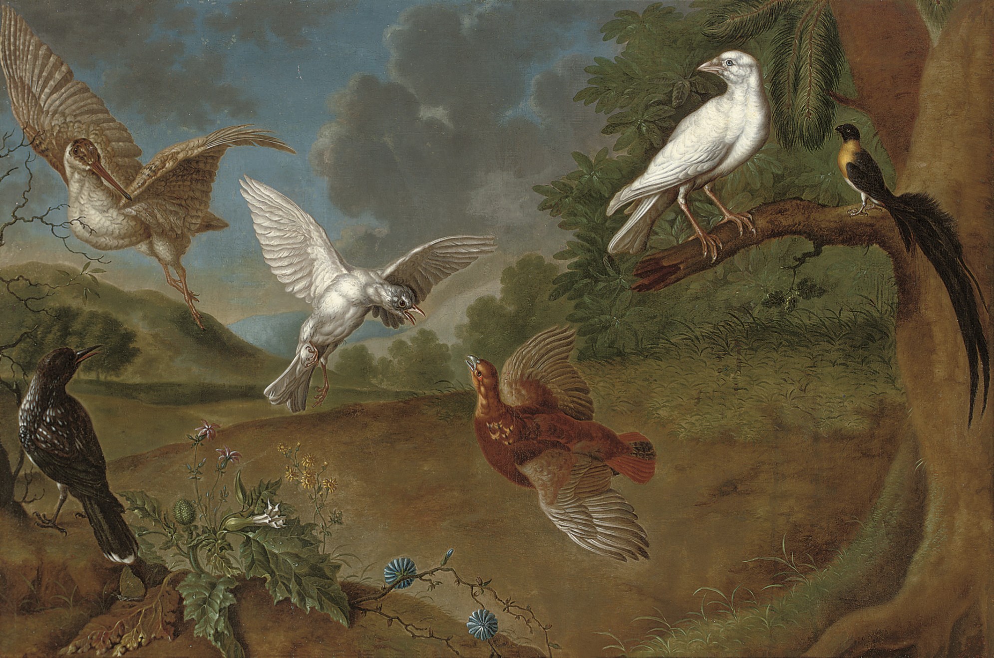 Carl Josef Adolph (Austrian 18th Century)