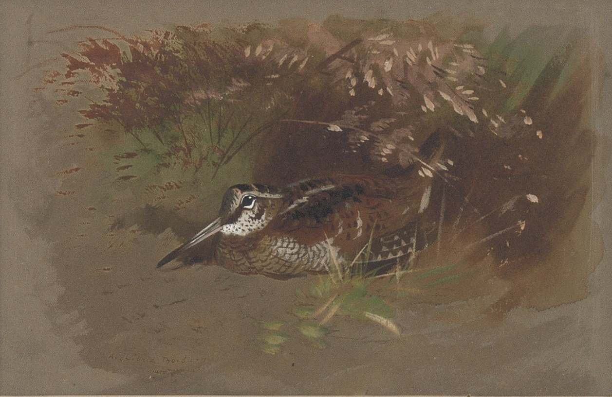 ARCHIBALD THORBURN (BRITISH, 1860-1935)