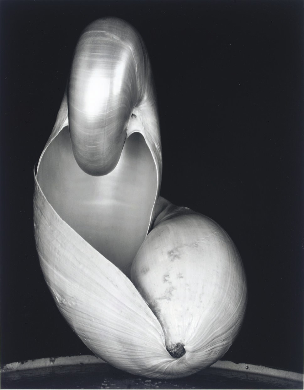 EDWARD WESTON (1886-1958)
