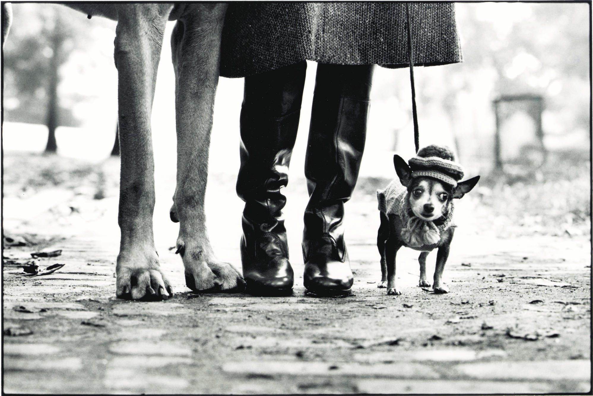ELLIOTT ERWITT (b.1928)